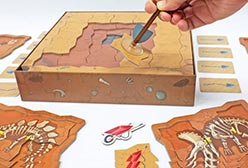 サムネイル：恐竜大発見
